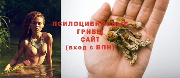 СК Приозерск