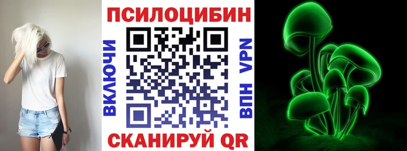 blacksprut ТОР  Дивногорск  Галлюциногенные грибы Psilocybine cubensis  сколько стоит 