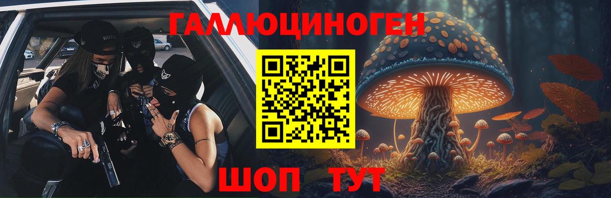 Галлюциногенные грибы прущие грибы  Вход с VPN  Псилоцибиновые грибы Psilocybine cubensis  Дивногорск 